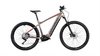 CORRATEC - X-Vert Pro Gent 57/ 750 Wh /  Bronze, Rot, Schwarz
